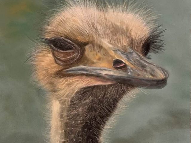 460651038_10229906723227126_4490924172675153047_n