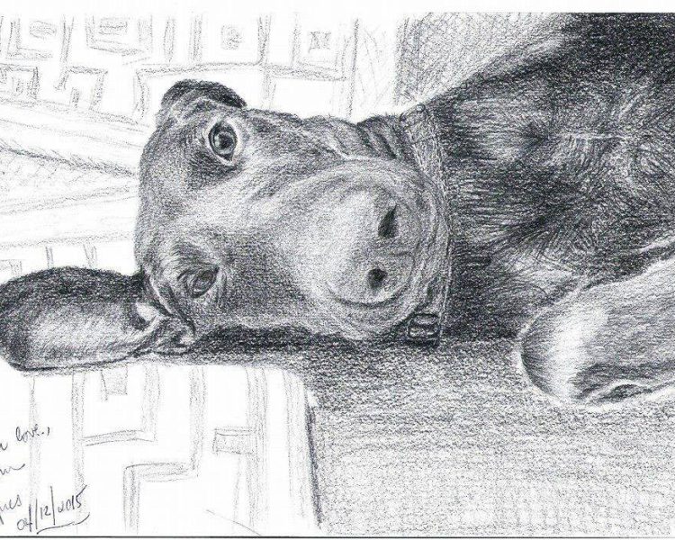 agnes 11960034_10206468089595934_2305028523371432270_n